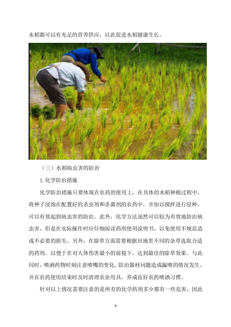 水稻病虫害统防统治投标方案模板（531）（2024年修订版）.docx 第8页