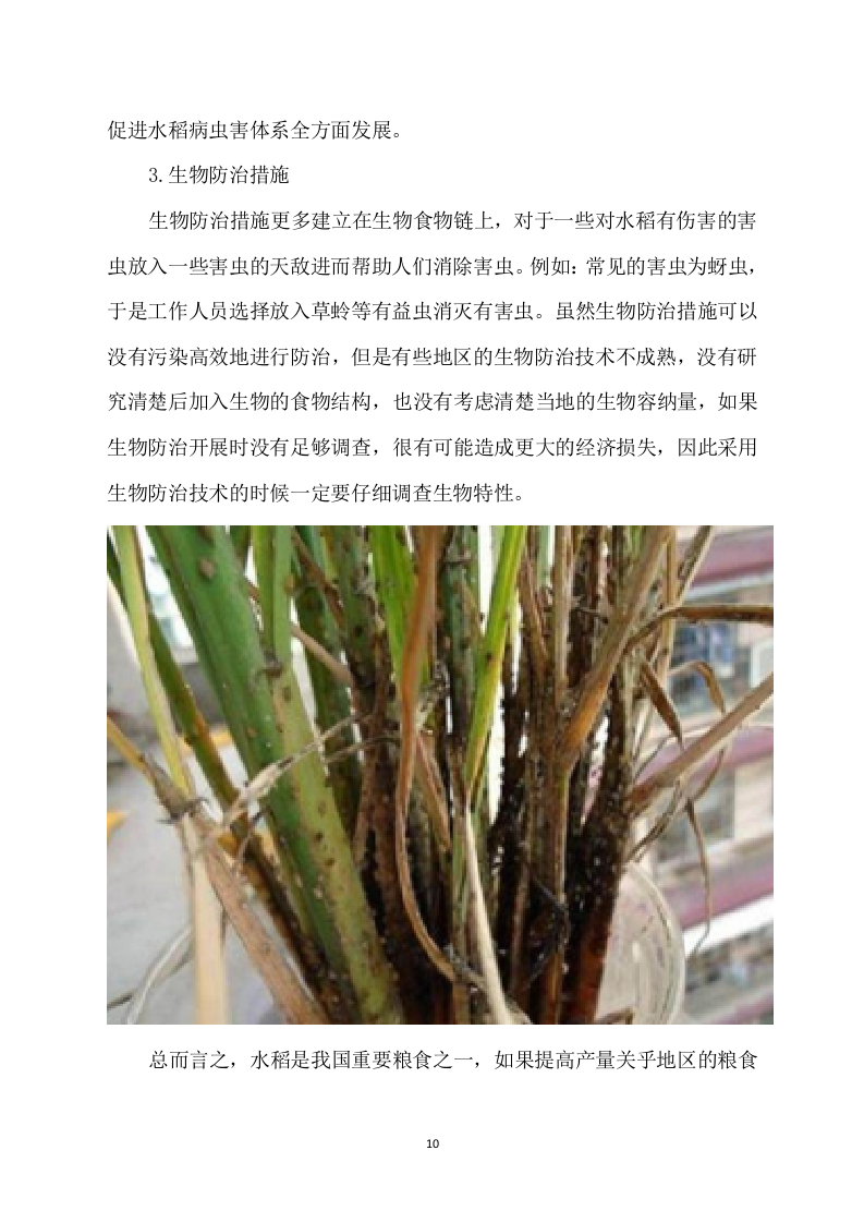 水稻病虫害统防统治投标方案模板（531）（2024年修订版）.docx 第10页