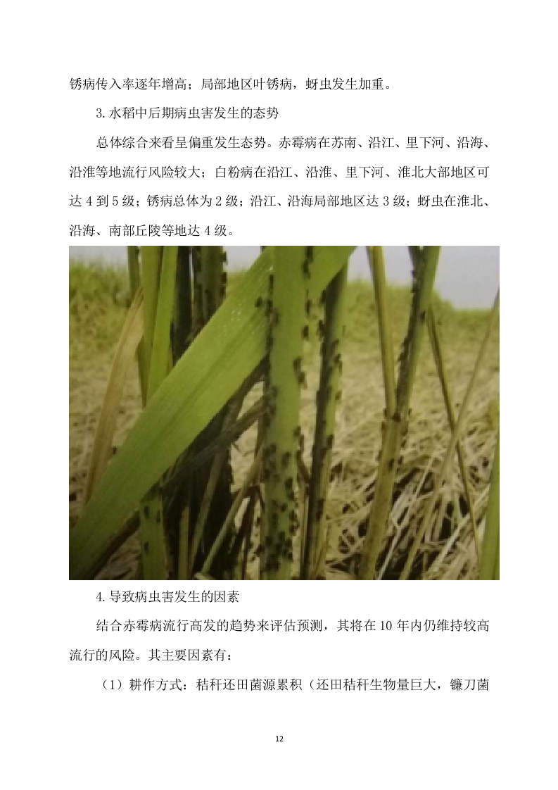 水稻病虫害统防统治投标方案模板（531）（2024年修订版）.docx 第12页
