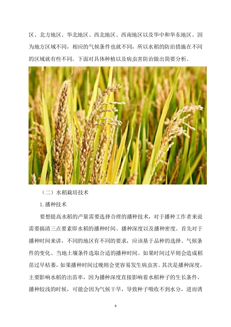 水稻病虫害统防统治投标方案模板（531）（2024年修订版）.docx 第6页