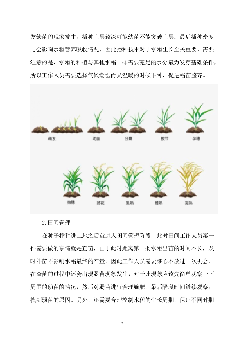 水稻病虫害统防统治投标方案模板（531）（2024年修订版）.docx 第7页