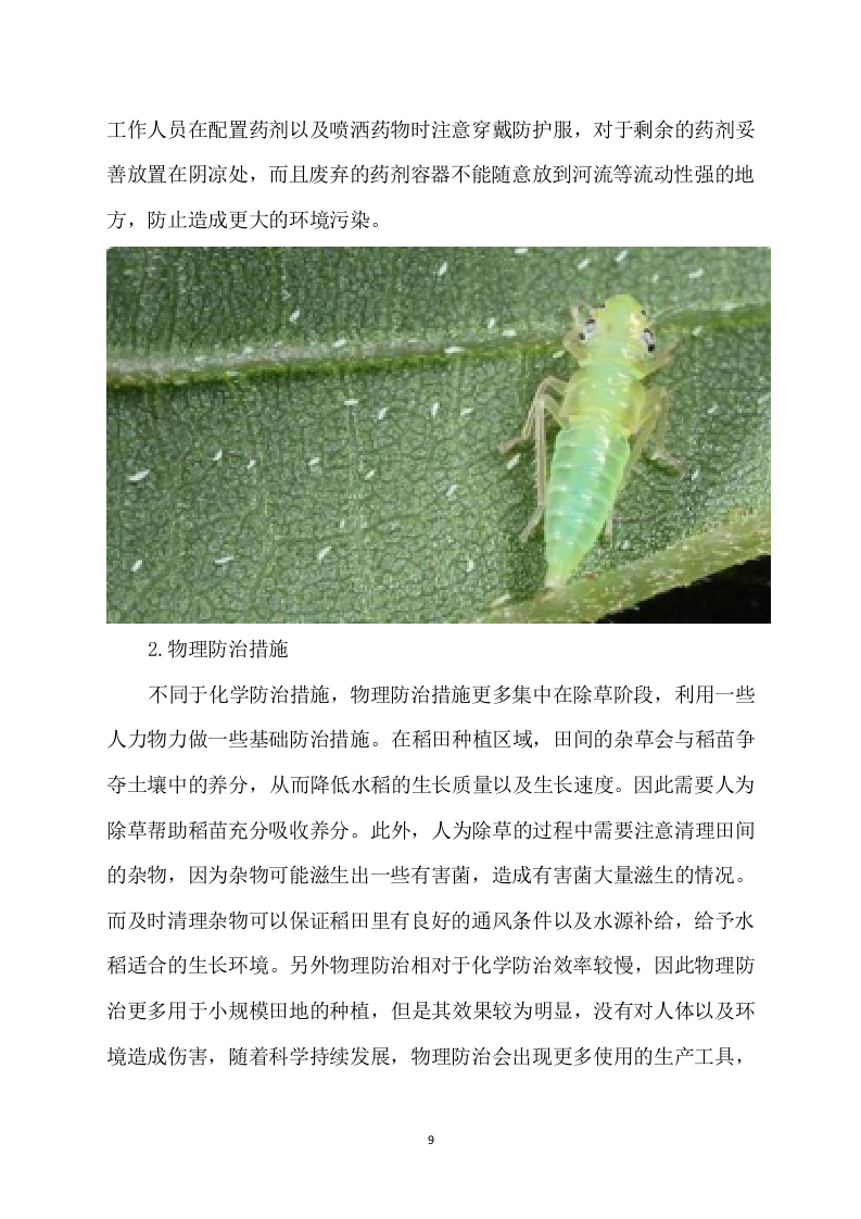 水稻病虫害统防统治投标方案模板（531）（2024年修订版）.docx 第9页