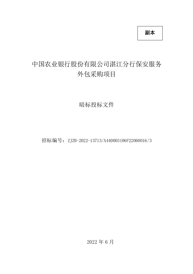 农业银行保安技术方案607.docx 第2页