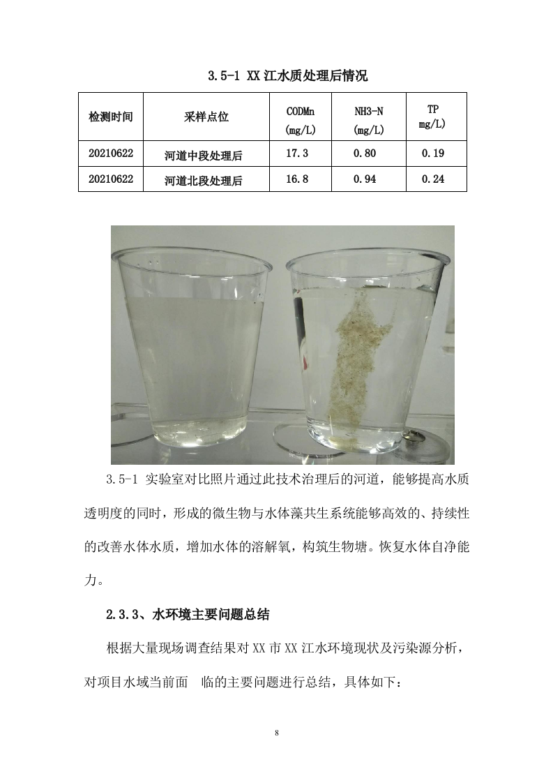 某江水体生态治理项目186页.doc 第11页