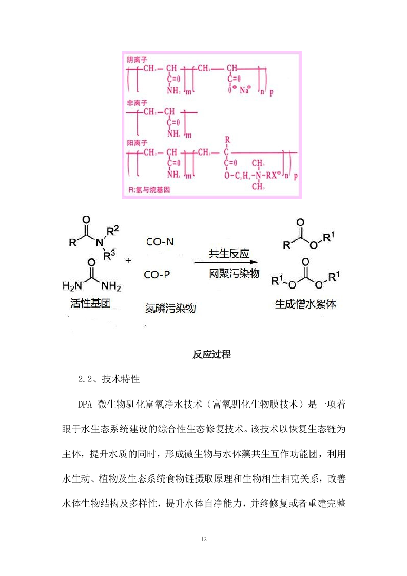 某江水体生态治理项目186页.doc 第15页