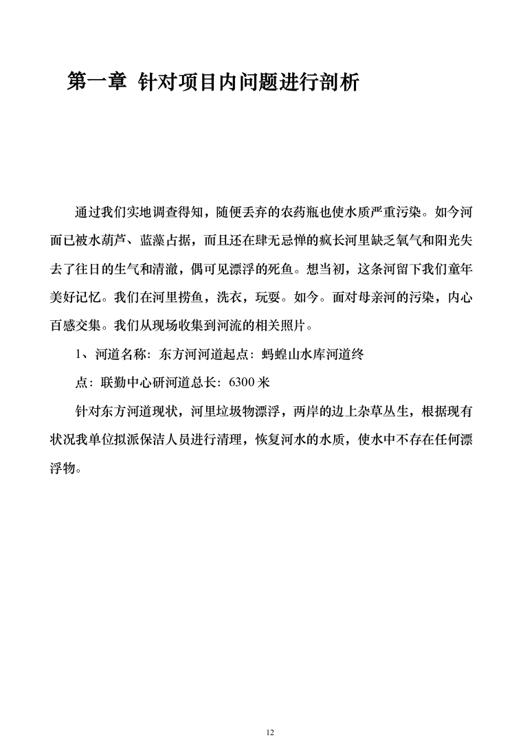 河道保洁技术方案投标方案（384页）（2024年修订版）.docx 第12页