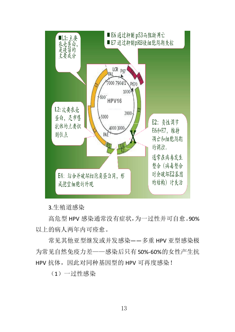 HPV检测服务投标方案（303页）（2024年修订版）.docx 第12页