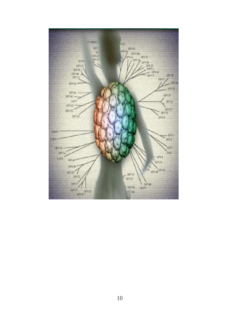 HPV检测服务投标方案（303页）（2024年修订版）.docx 第10页