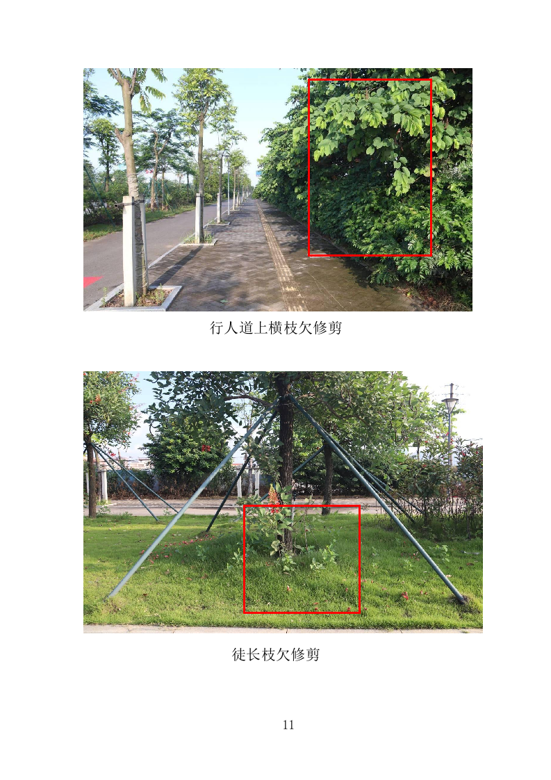 城市园林绿化养护投标方案（221页）（2024年修订版）.docx 第9页