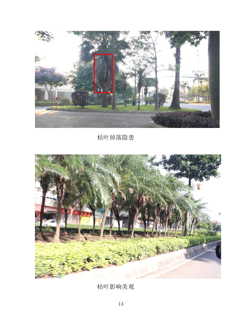 城市园林绿化养护投标方案（221页）（2024年修订版）.docx 第12页