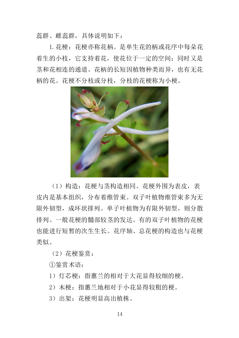 花箱栽植及养护投标方案（344页）（2024年修订版）.docx 第14页