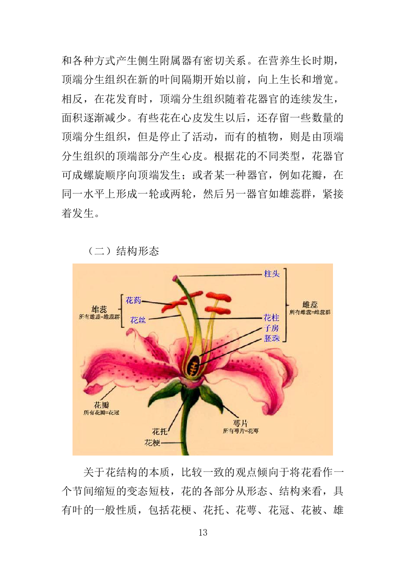 花箱栽植及养护投标方案（344页）（2024年修订版）.docx 第13页