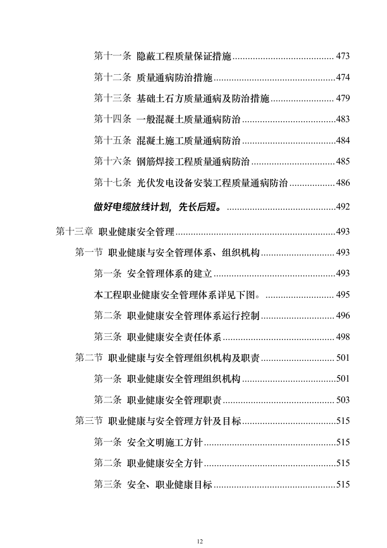 EPC光伏项目_投标方案（技术标840页）（2024年修订版）.docx 第12页