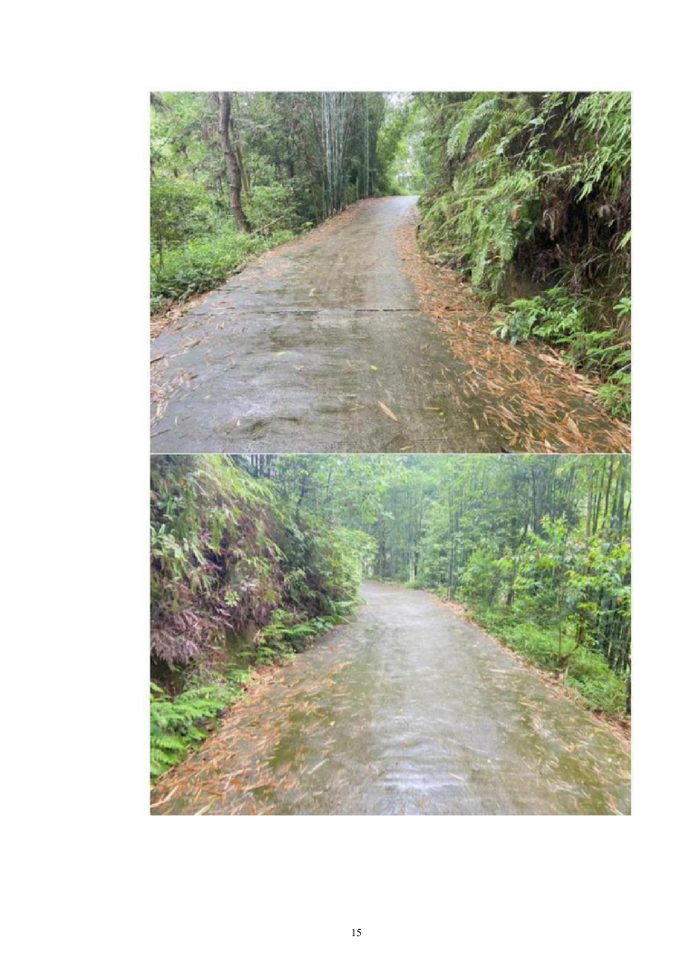 自然村通硬化路建设工程施组597页（2024年修订版）.docx 第15页