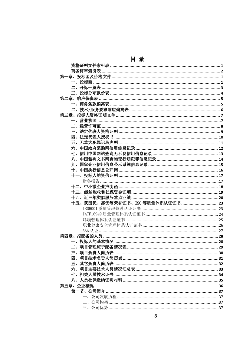 城市道路日常养护作业服务投标文件.docx 第4页