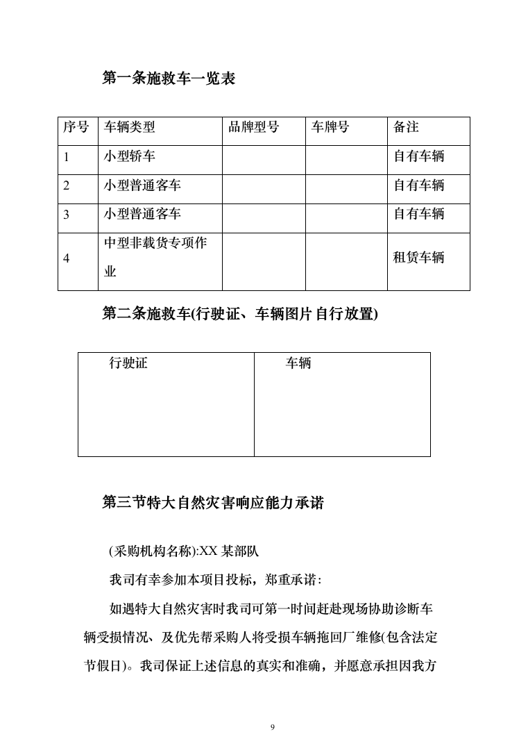 车辆维修项目投标方案（140页）（2024年修订版）.docx 第9页