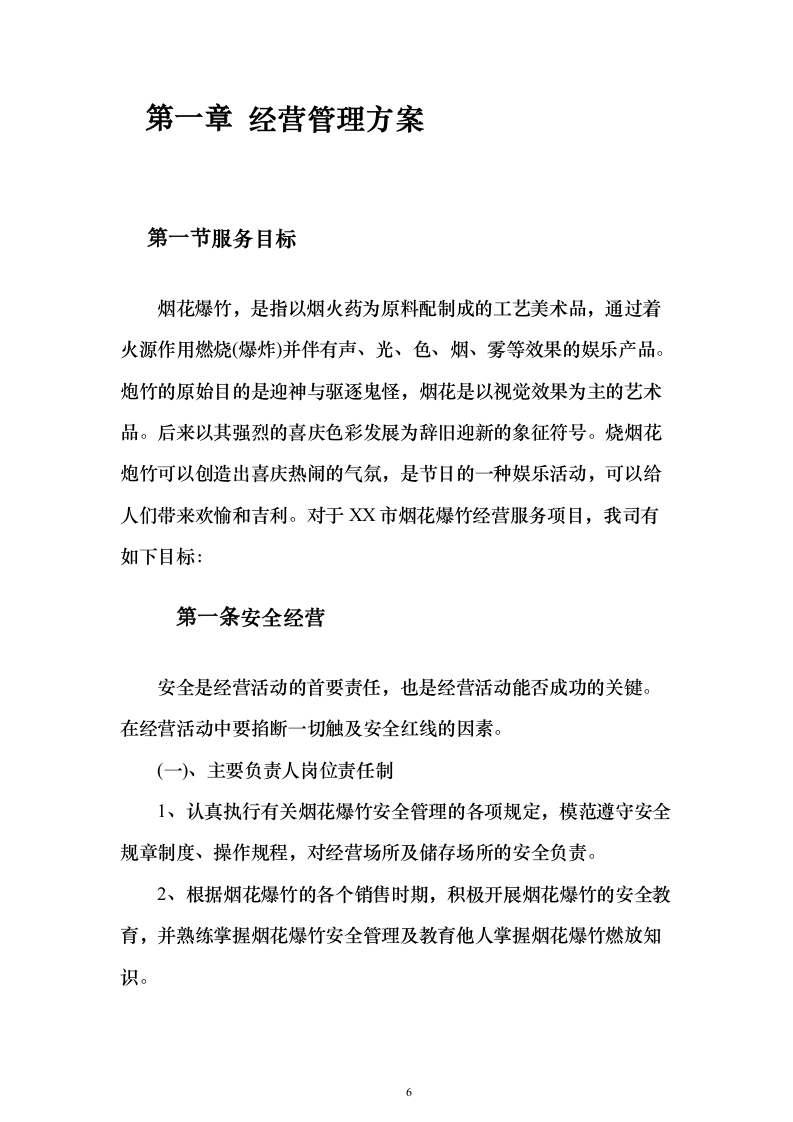 烟花爆竹项目运营方案(391页)（2024年修订版）.docx 第6页