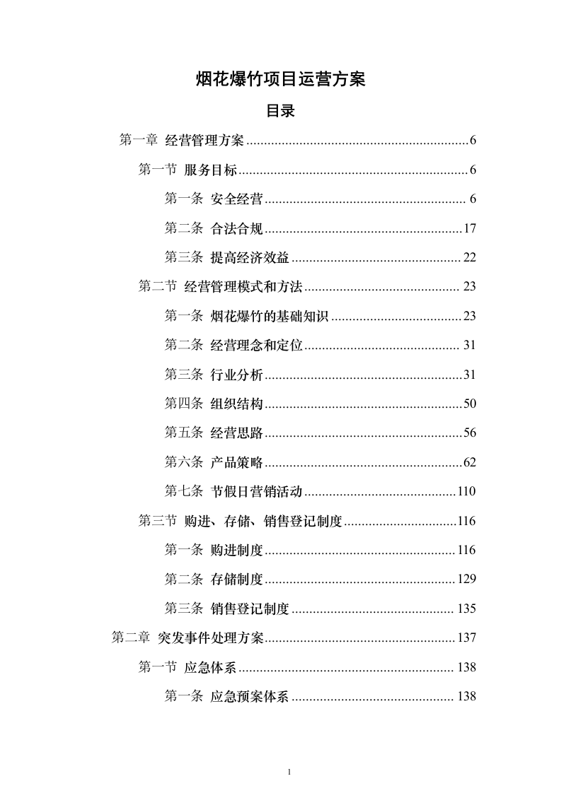 烟花爆竹项目运营方案(391页)（2024年修订版）.docx 第1页