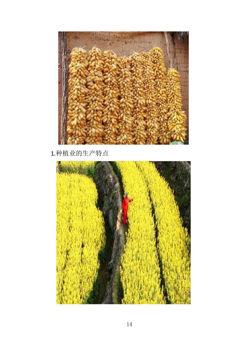 农民种植技能培训投标方案（351页）（2024年修订版）.docx 第14页