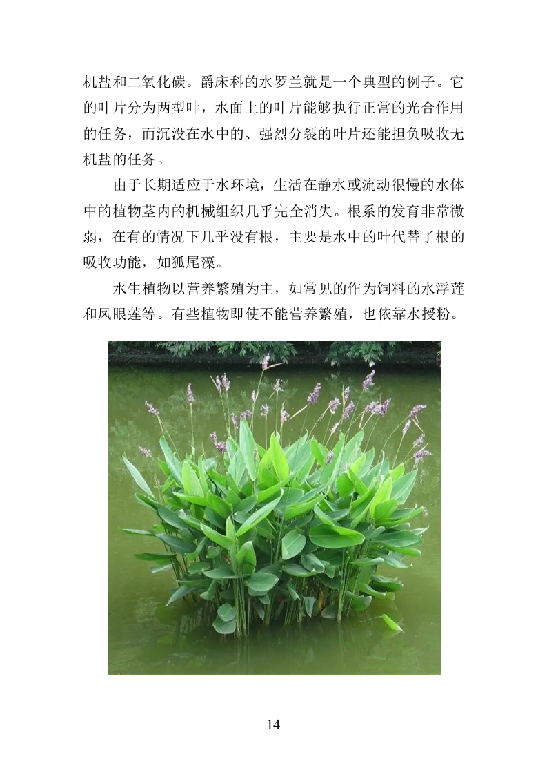 水生植物养护投标方案（350页）（2024年修订版）.docx 第14页