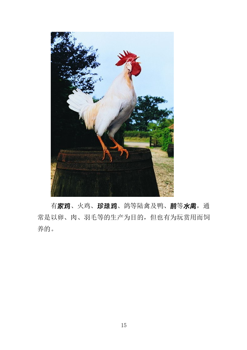 禽类、水产品配送服务投标方案（353页）（2024年修订版）.docx 第15页