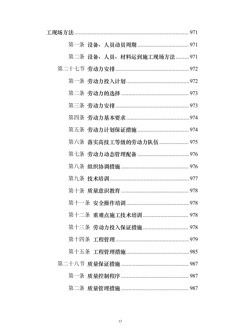 防汛排涝设施提升及河道节点改造工程1126（2024年修订版）.docx 第13页