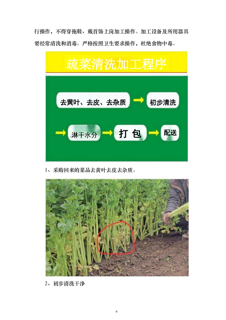 图文幼儿园食材采购、肉、海鲜、蔬菜、调料投标方案三180页（2024年修订版）.docx 第6页