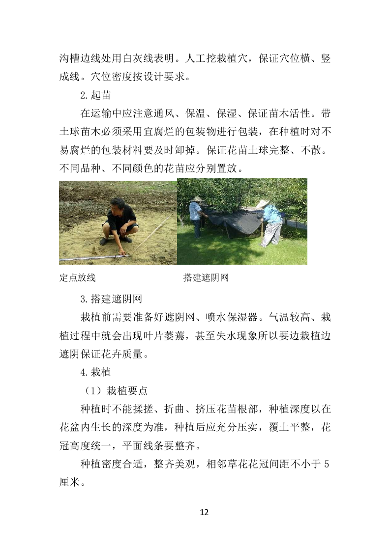 节庆花卉摆放服务时花养护方案（39页）.doc 第12页