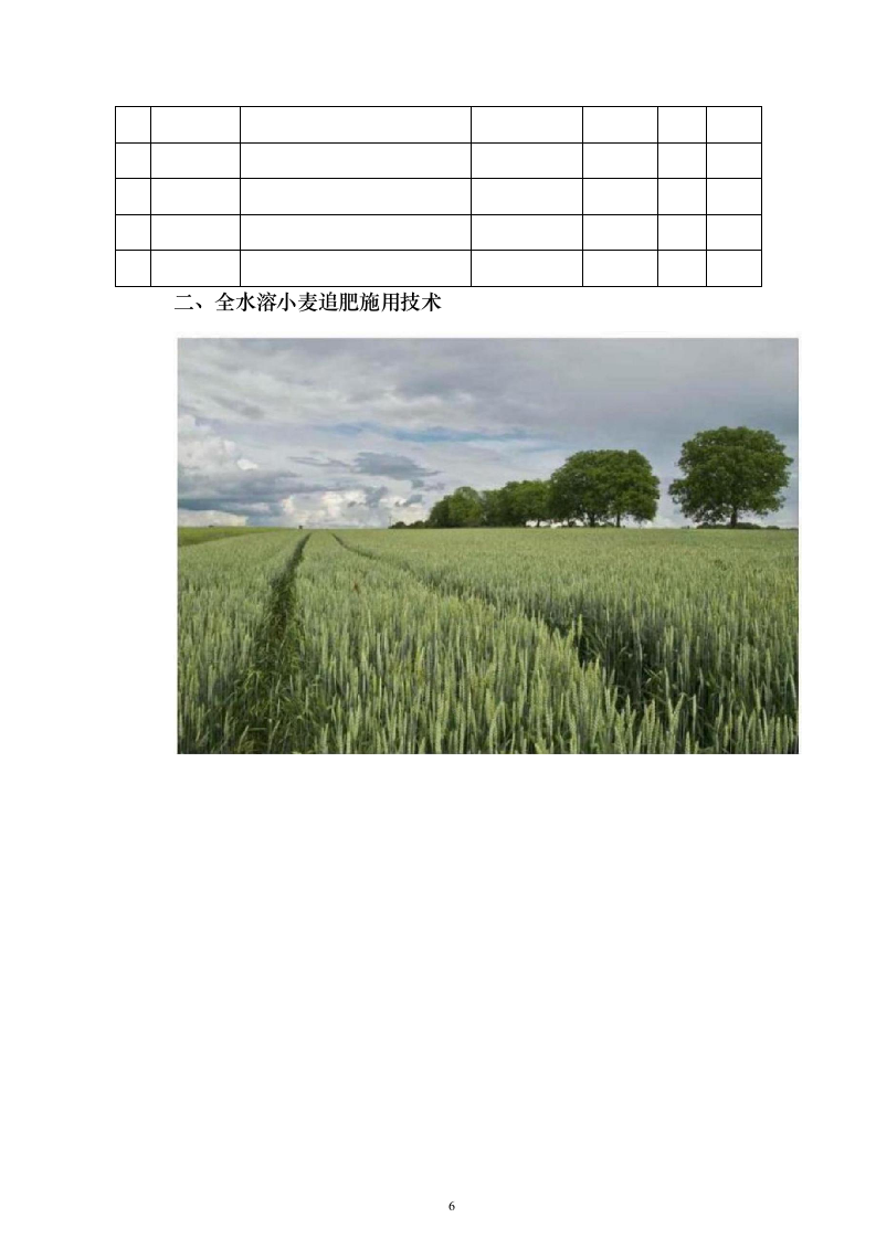 采购小麦水溶肥套餐化肥投标方案211页（2024年修订版）.docx 第6页