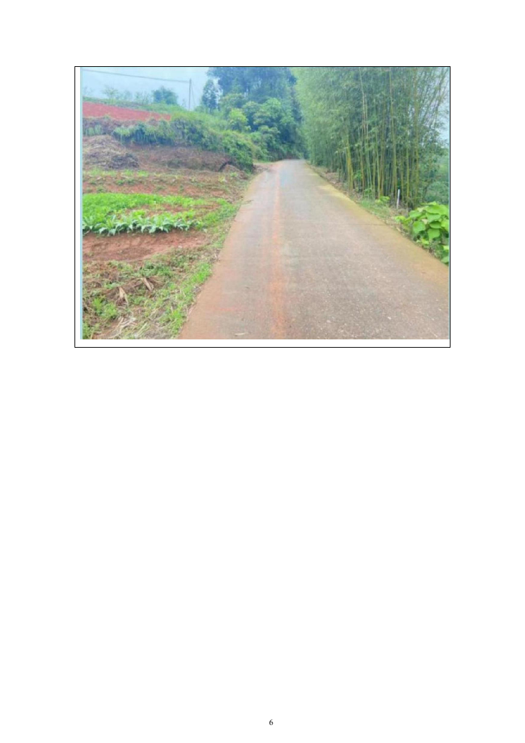 自然村通硬化路建设项目投标方案（666页）（2024年修订版）.docx 第6页