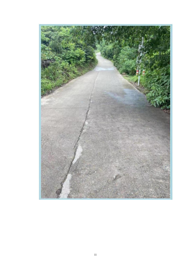 自然村通硬化路建设项目投标方案（666页）（2024年修订版）.docx 第11页