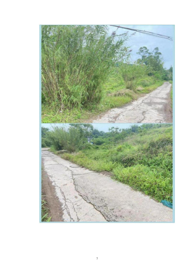 自然村通硬化路建设项目投标方案（666页）（2024年修订版）.docx 第7页