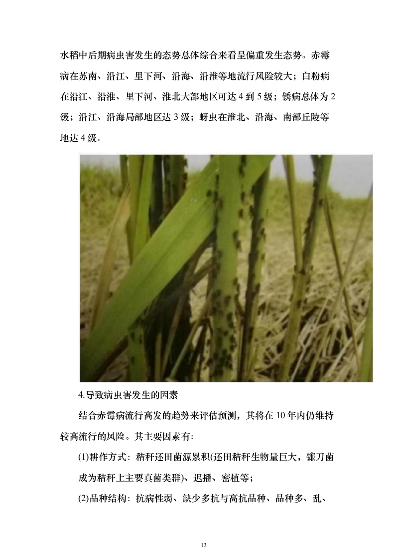 无人机植保投标方案（531页） （2024年修订版）.docx 第13页