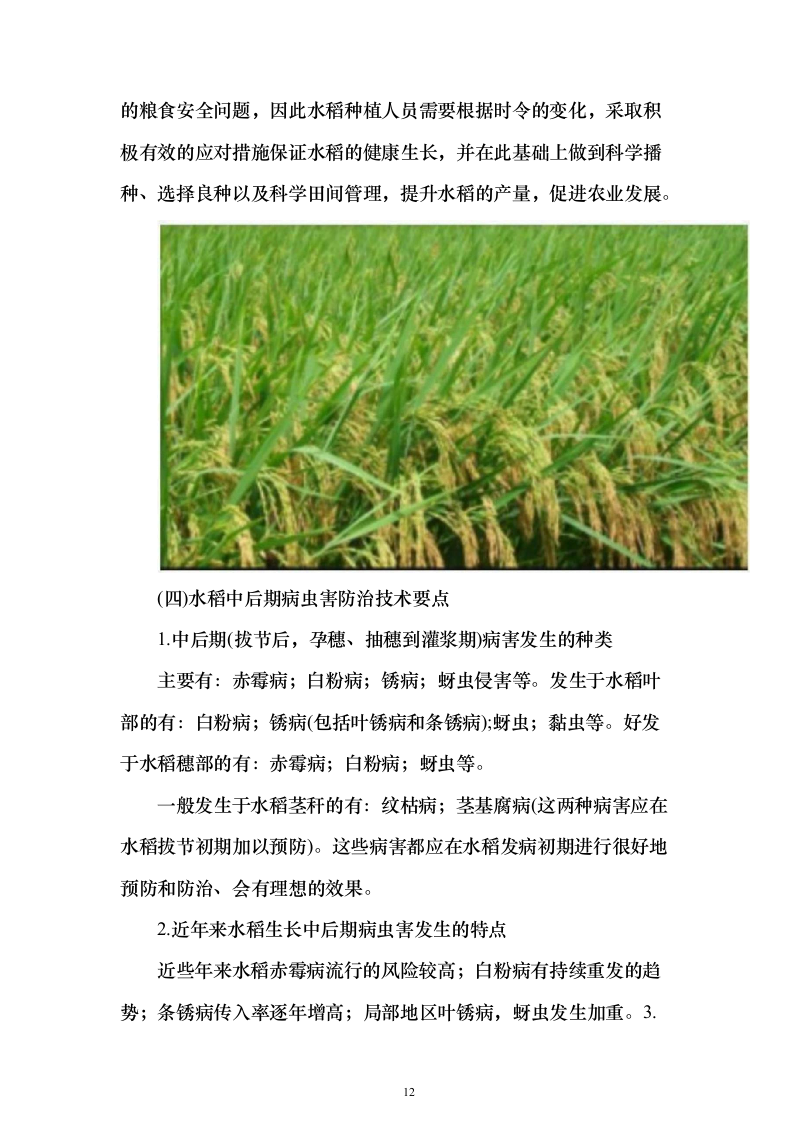 无人机植保投标方案（531页） （2024年修订版）.docx 第12页