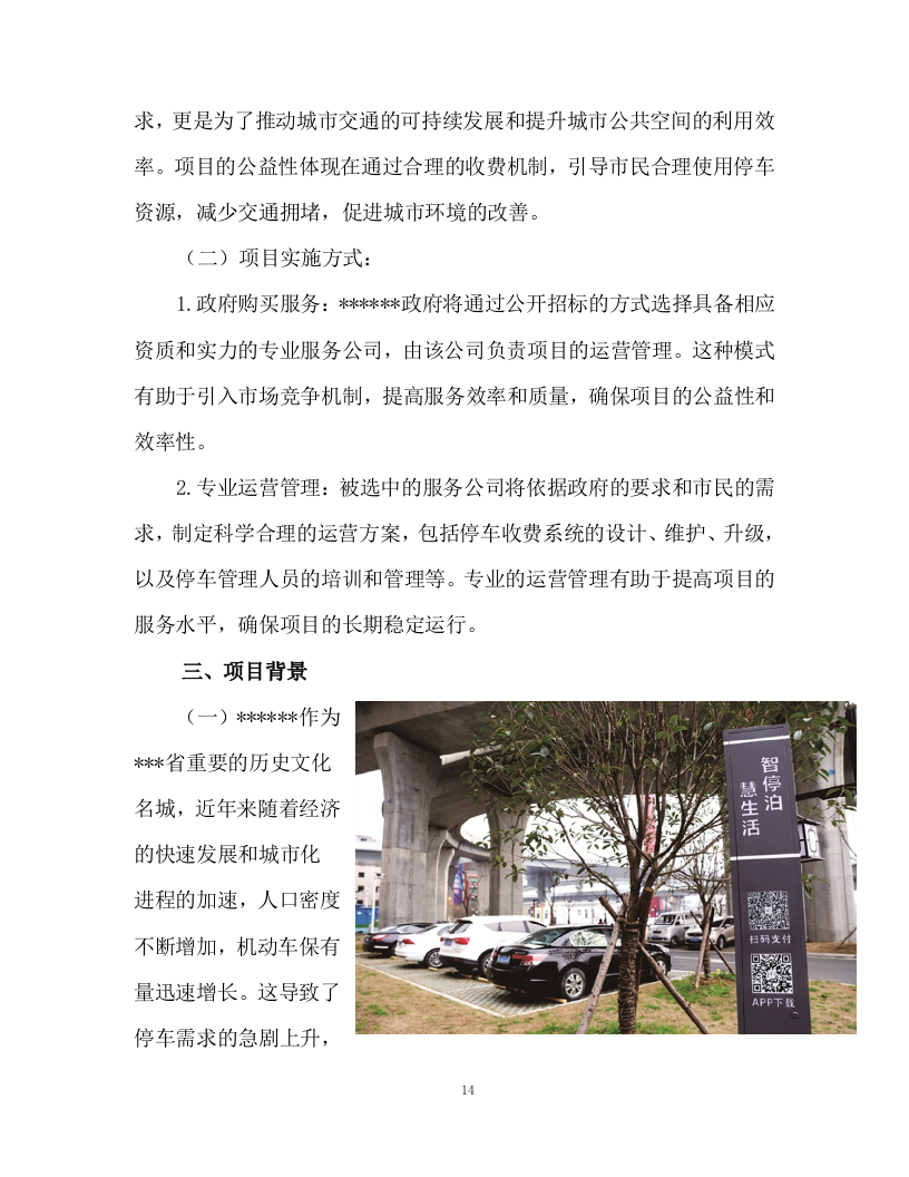 路边停车收费劳务分包项目298页.docx 第14页