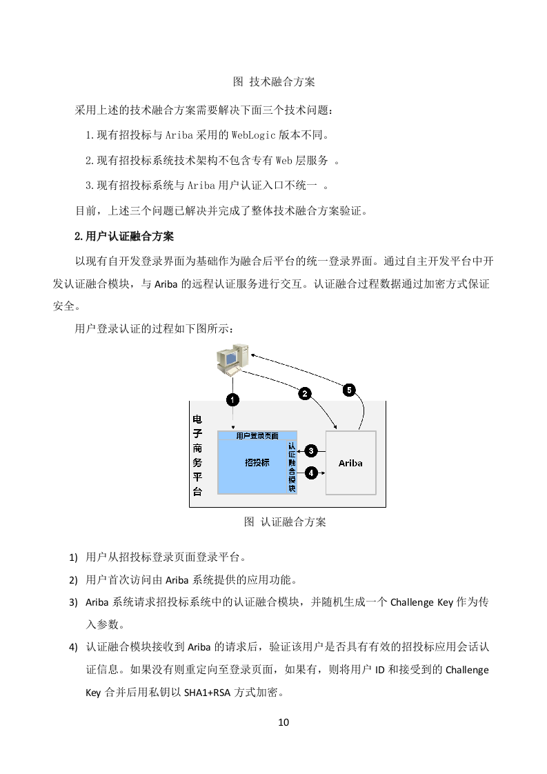 大型信息系统投标技术文件（共94页）.docx 第10页