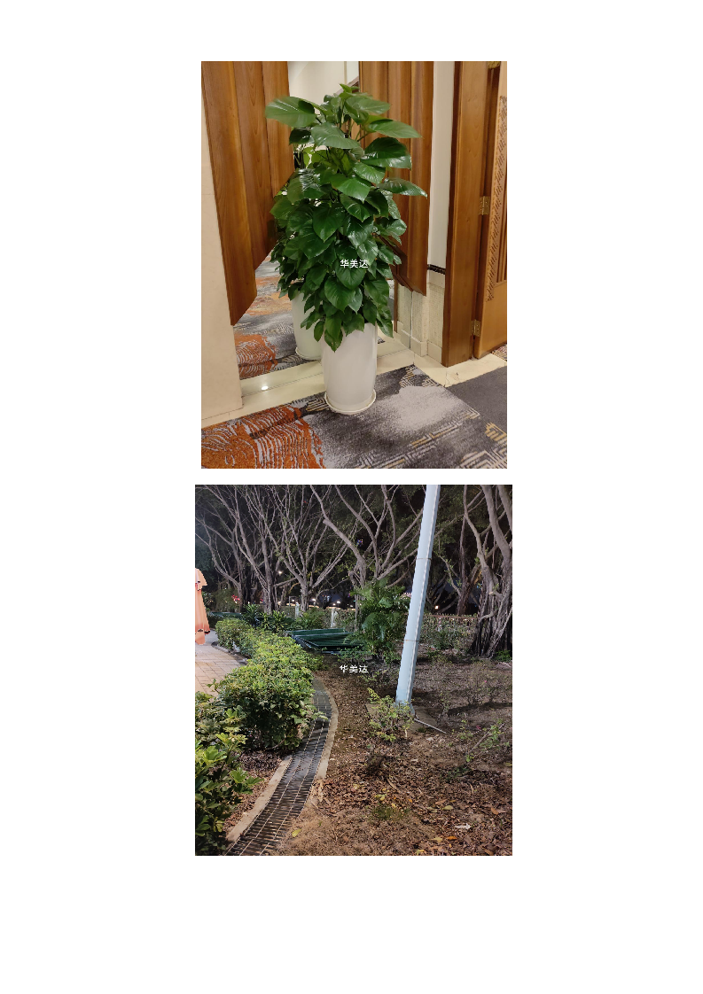 广东某四星级酒店绿植租摆和室外绿化养护服务方案（600页）.docx 第9页