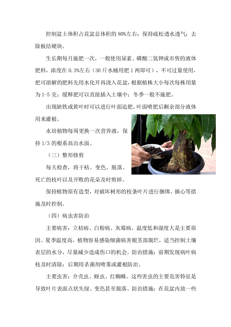 某市国企绿植租摆，会议节假日摆花（260页）.docx 第15页