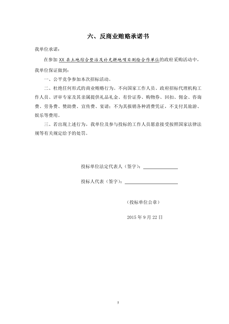 测浍服务土地整治投标文件30页.doc 第5页