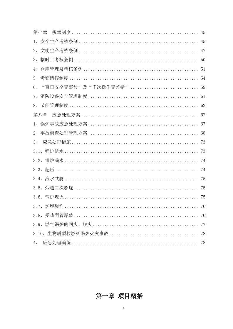 锅炉运营服务方案-83页.docx 第3页