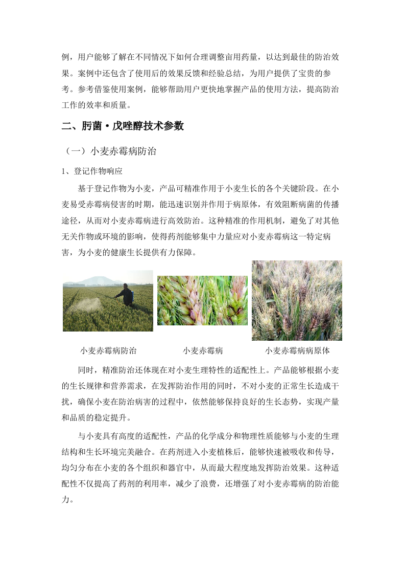 2025年中央财政粮油生产保障资金支持“小麦一喷三防”支出项目.docx 第14页