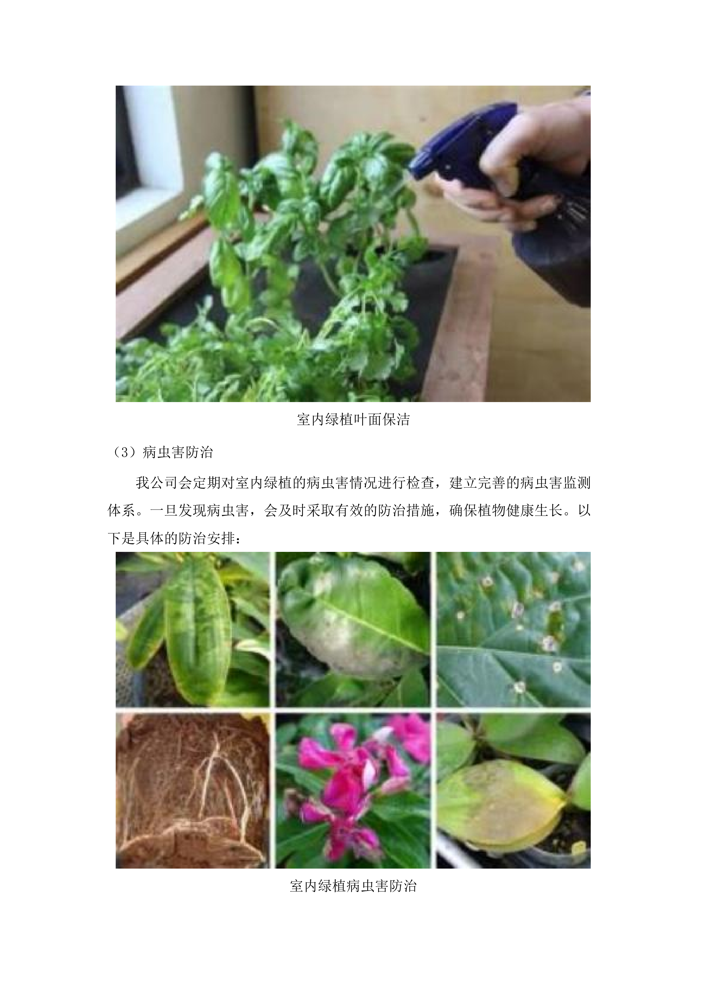 广州市公安局黄埔区分局各大院绿化维护服务采购项目(二次).docx 第9页