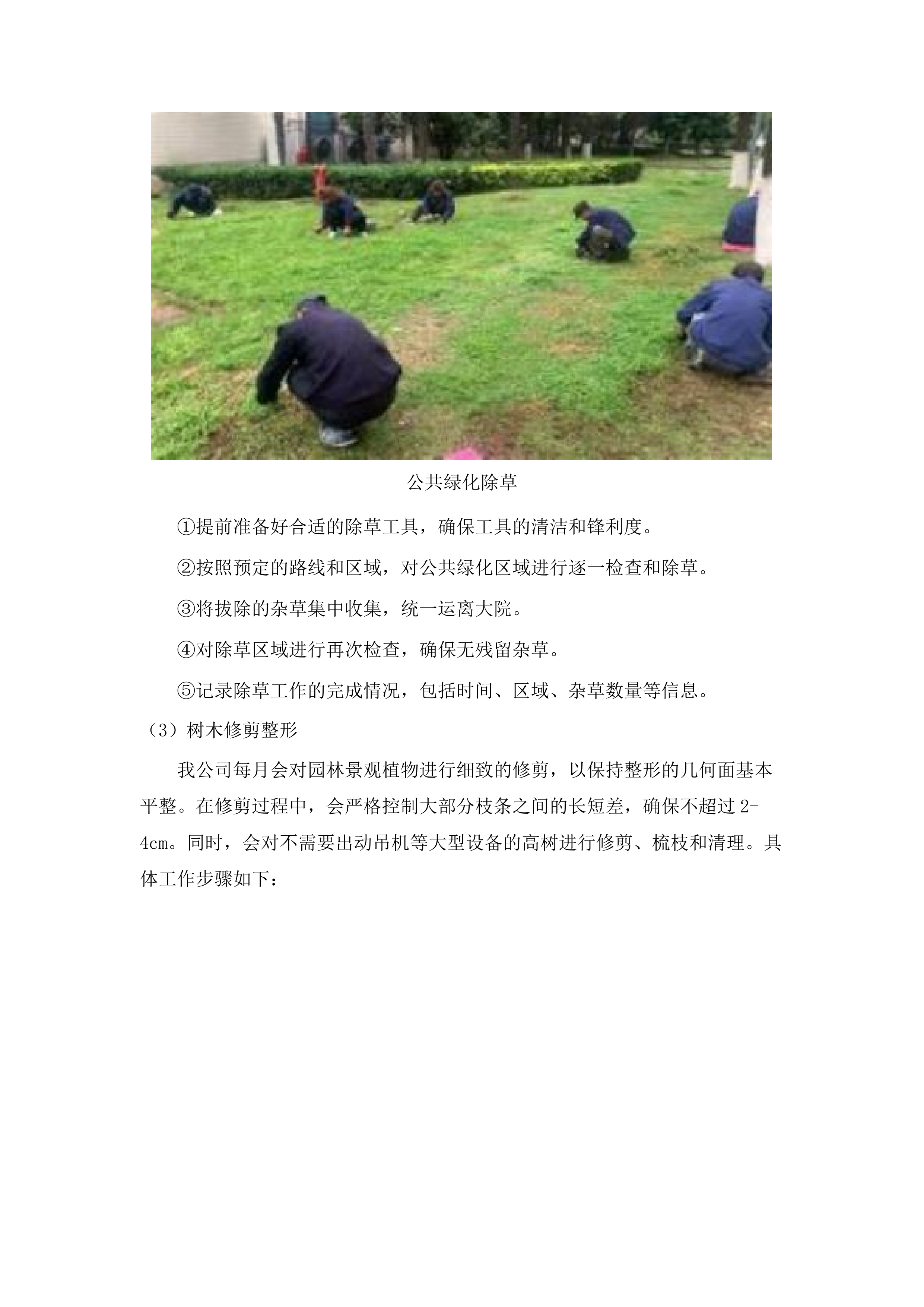 广州市公安局黄埔区分局各大院绿化维护服务采购项目(二次).docx 第6页