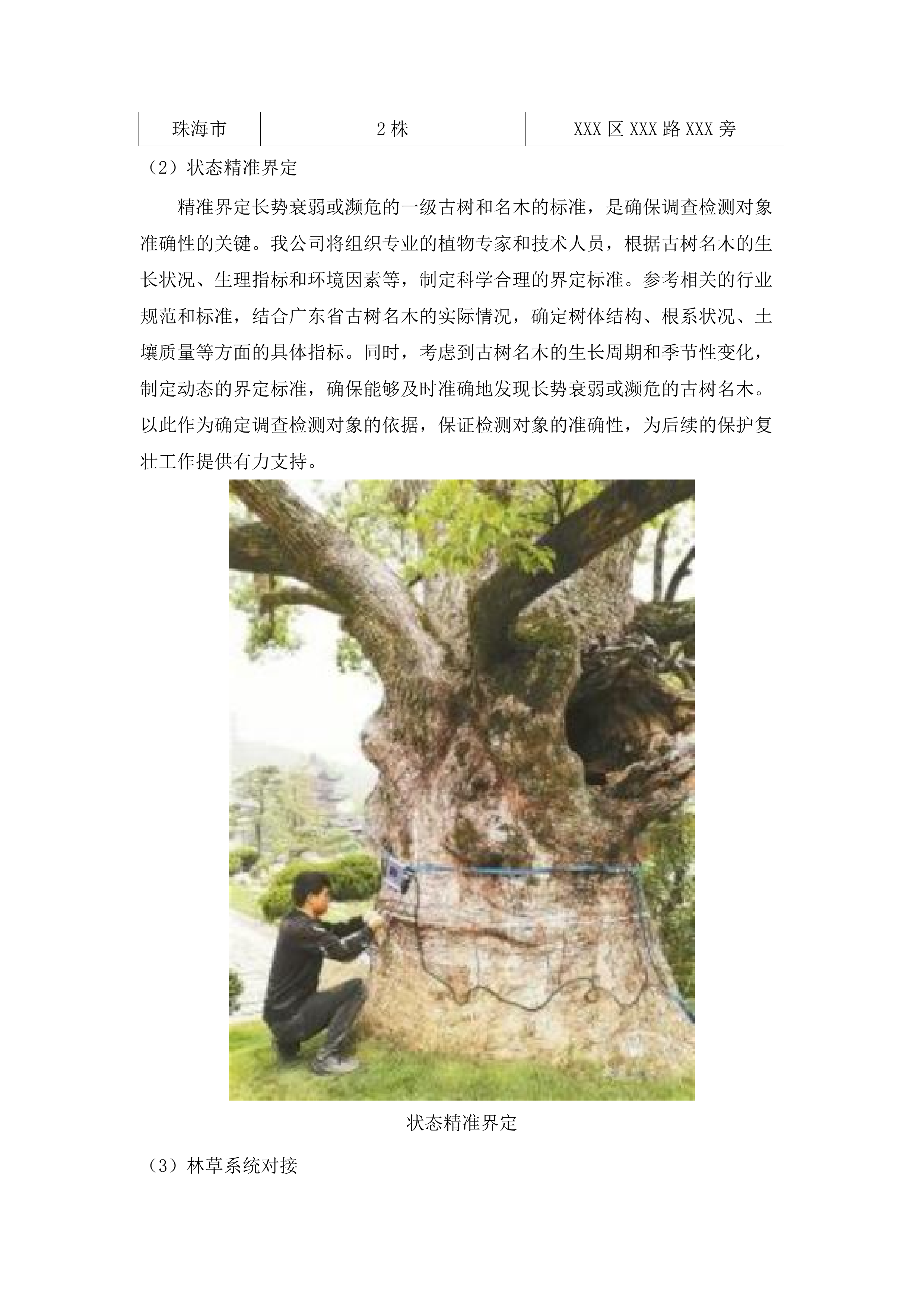 广东省一级古树和名木抢救复壮（2025年）.docx 第7页