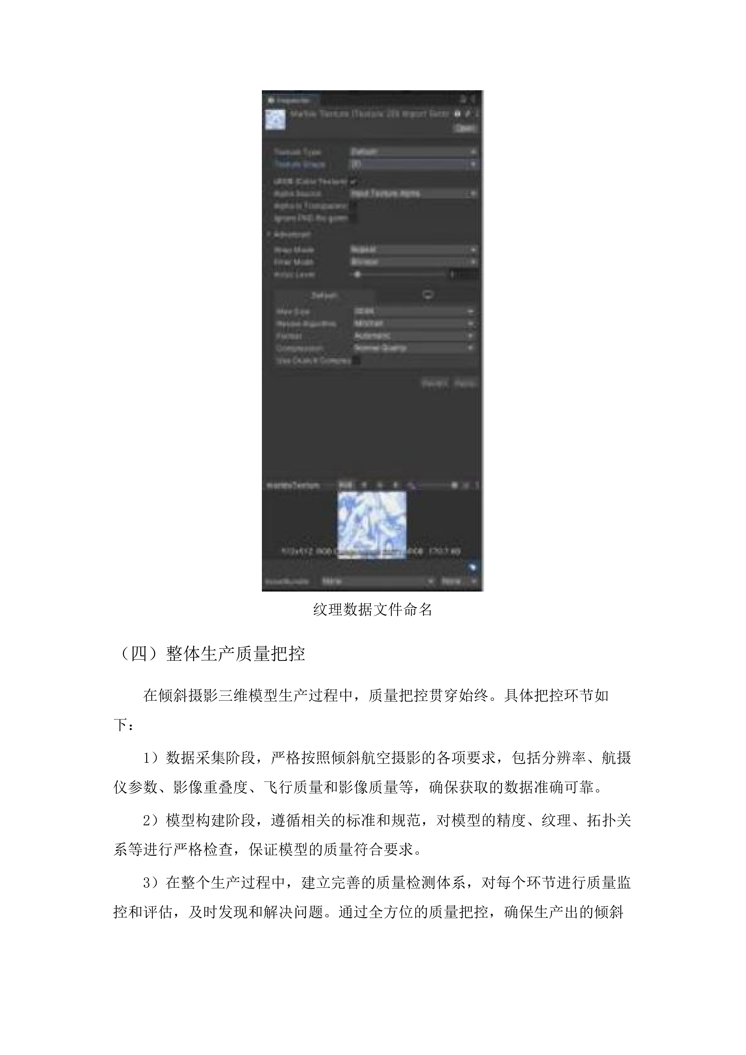 平远县实景三维建设项目.docx 第11页