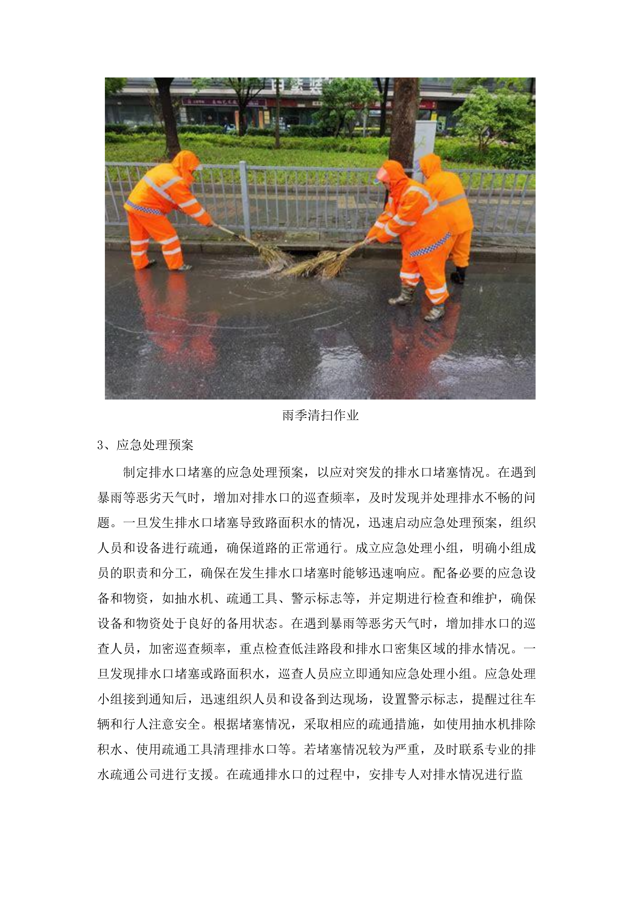 佛冈县汤塘镇清扫保洁、生活垃圾收运市场一体化采购项目.docx 第13页