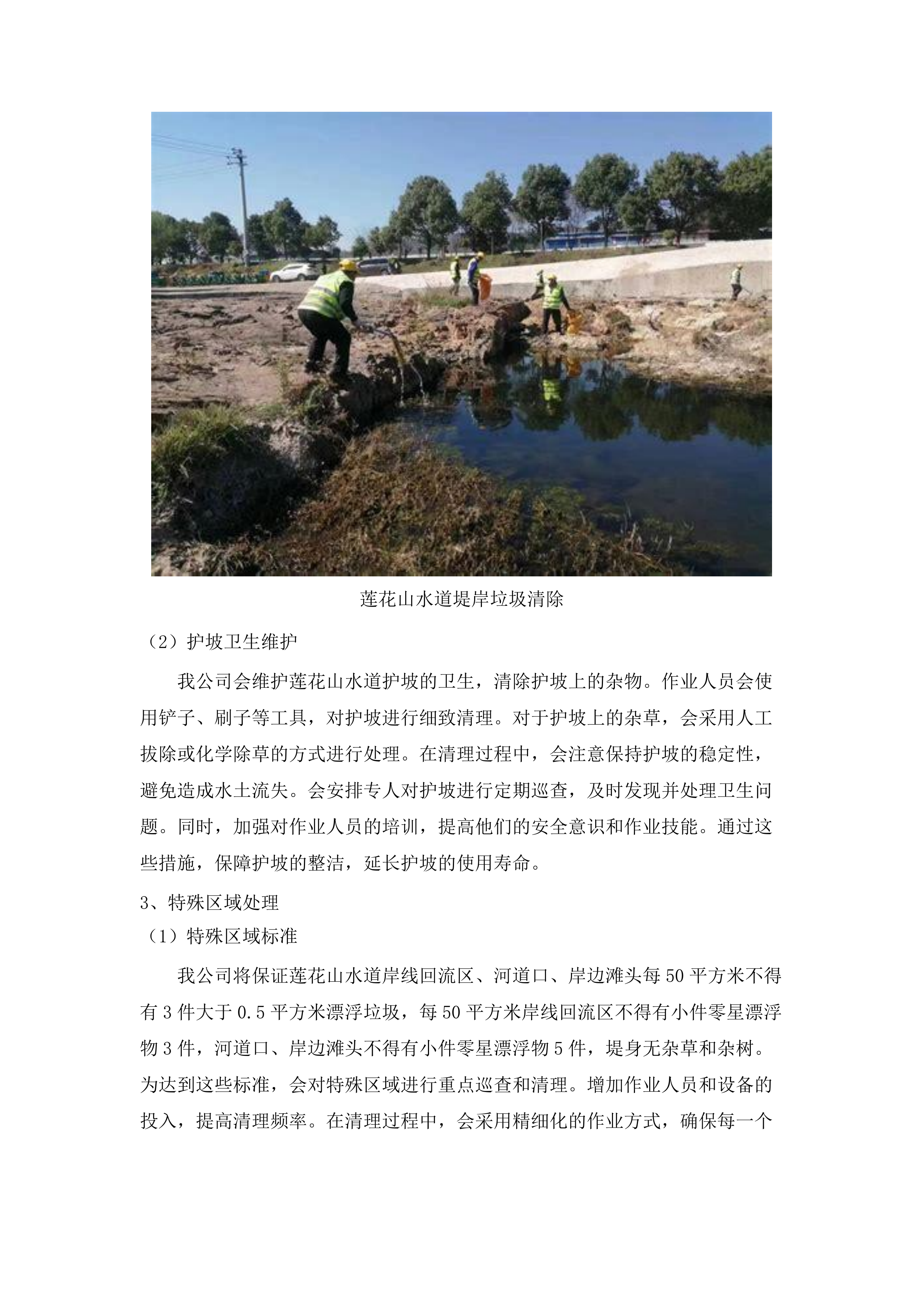 2025年度石楼镇海漂垃圾清理服务项目.docx 第12页