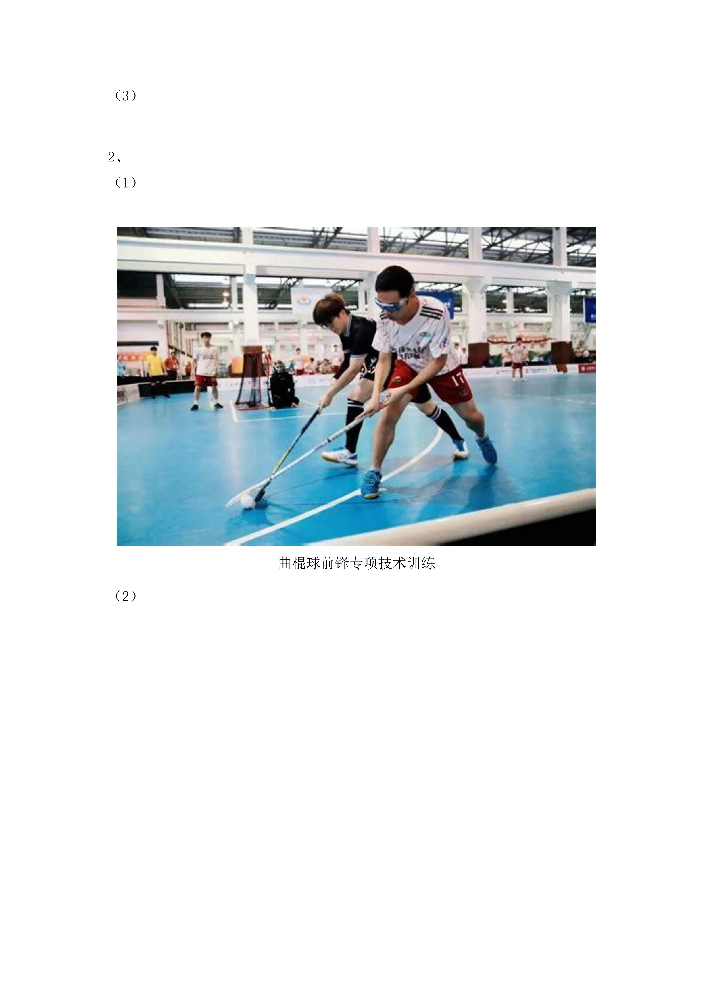 球类中心曲棍球项目发展训练保障服务.docx 第6页