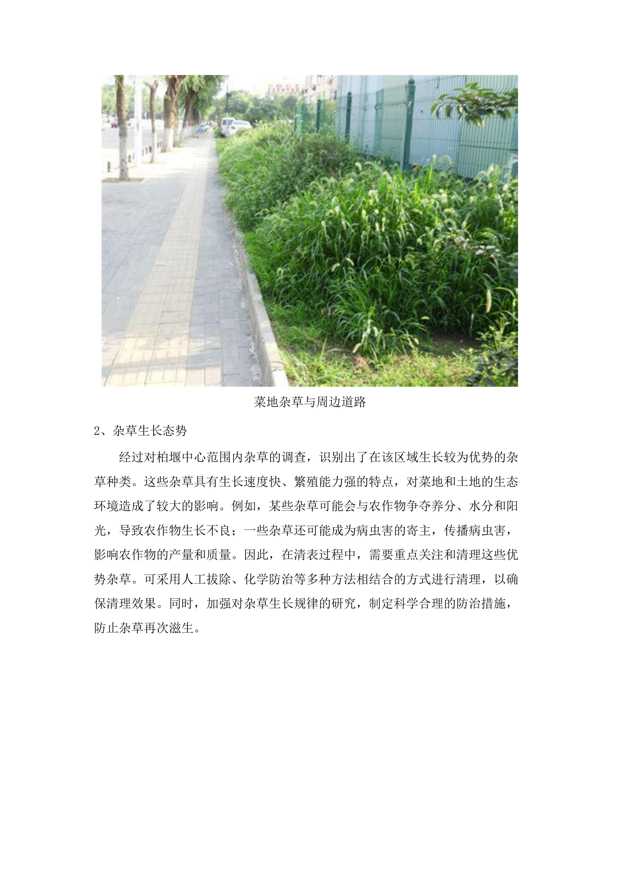 柏堰中心环境治理服务.docx 第9页