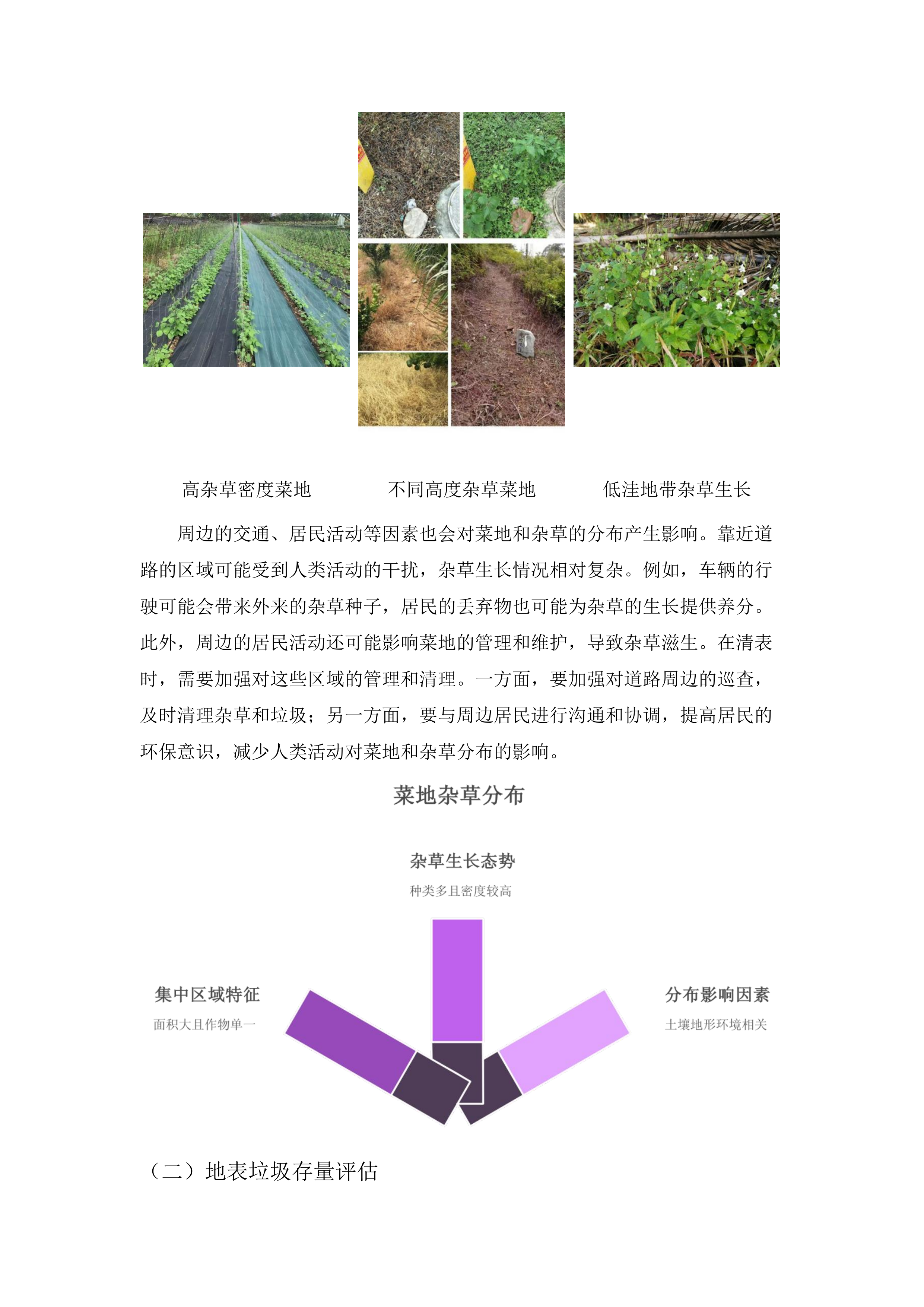 柏堰中心环境治理服务.docx 第12页